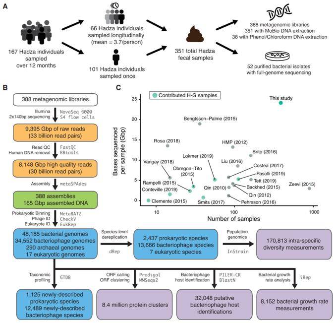 Ultra-deep Metagenomic Sequencing Unveiling the Vanishing Microbiome of Hadza