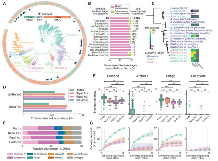 The Hadza gut microbiota contains substantial multi-domain novelty.