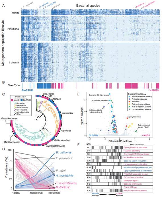 VANISH and BloSSUM taxa have distinct global prevalence, phylogeny, and functional capacity.