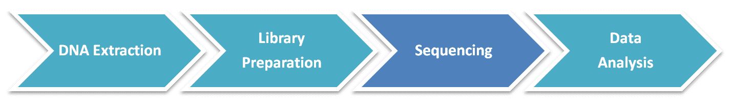 Workflow Diagram of Metagenomic Shotgun Sequencing.