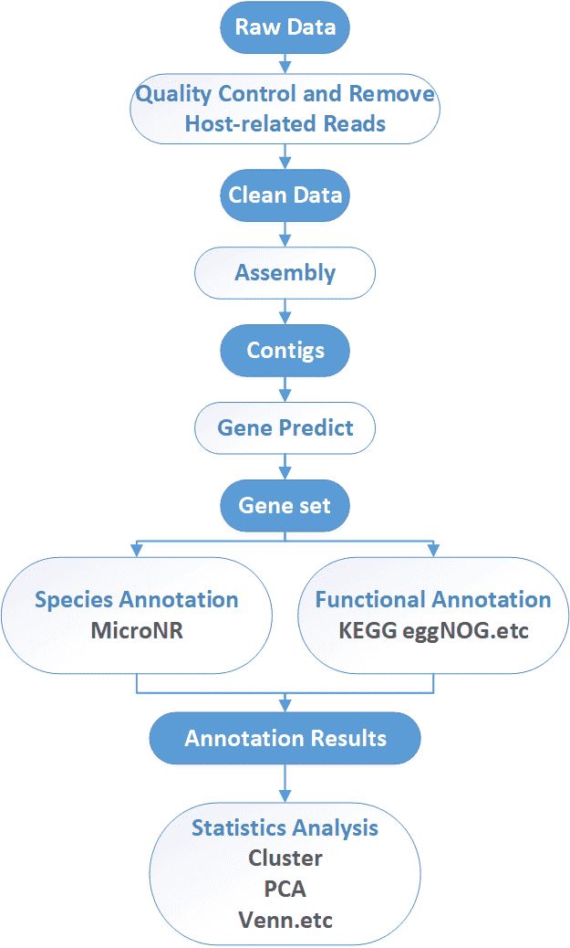 The Data Analysis Pipeline of Metagenomic Shotgun Sequencing. 