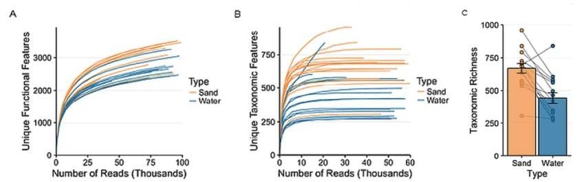 Figure 1. Rarefaction analysis for both functional and taxonomic assignments showed that functional assignments continued to reveal more features with larger subsets, while taxonomic assignments plateaued, adequately capturing bacterial diversity except in one sample from Long Beach, Lake Erie. (Mohiuddin et al., 2017)