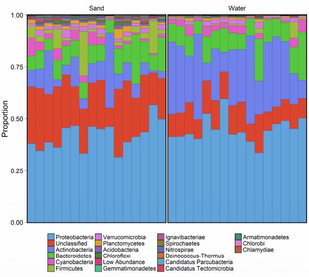 Figure 2. Figure 2. Taxonomic distribution at the phylum level. (Mohiuddin et al., 2017)