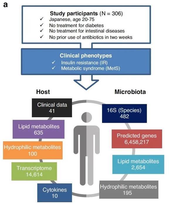 Metagenomics, Lipidomics, and Transcriptomics Insights into Gut Microbial Carbohydrate Metabolism and its Role in Insulin Resistance