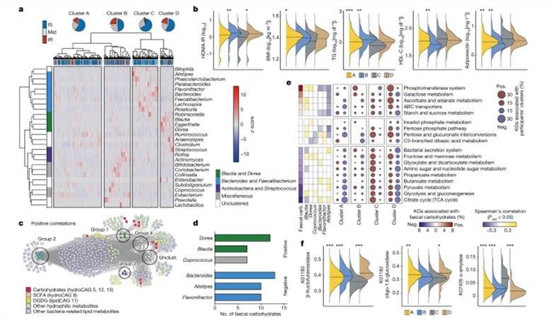 IR-associated fecal metabolites are associated with altered gut microbiota and microbial genetic functions. 