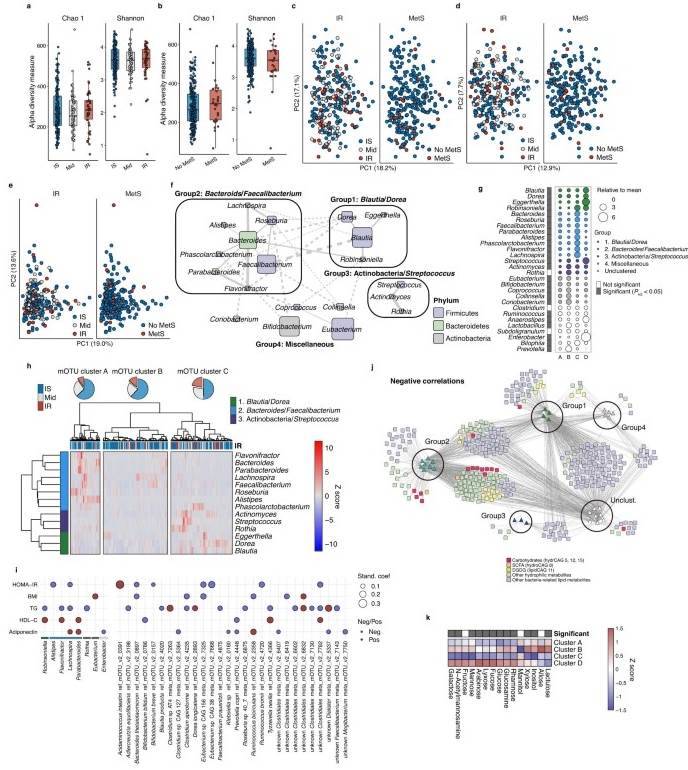 Fecal microbiota in IR.