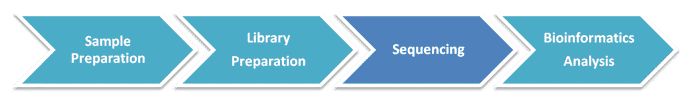 Workflow Diagram of Metatranscriptomic Sequencing.