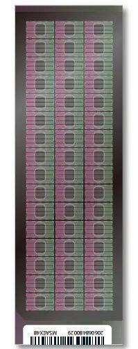 Figure 1 Infinium Methylation Screening Array (image source illumina)