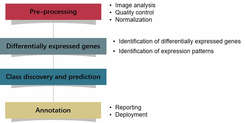 Figure 1. Typical process of microarray data analysis.