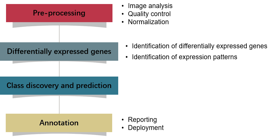 Microarray Data Analysis Pipeline