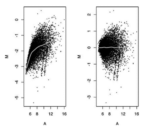 Figure 2. M vs A plots comparing raw unadjusted data (left) with data after lowess normalization (right) (Corporation H P. 2004).