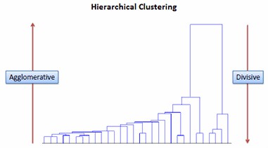 Figure 4. Hierarchical clustering results.