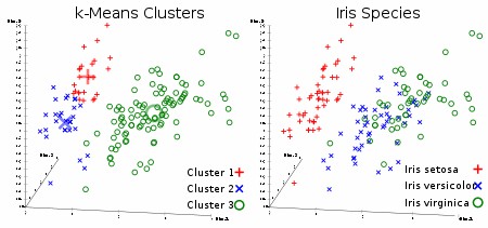 Figure 5. Results of K-means clustering.