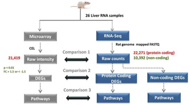 Overall computational process of RNA-Seq and microarray data analysis. (Rao et al., 2019)