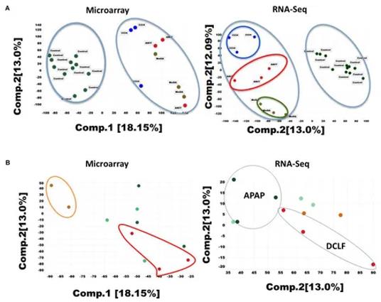 Principal component analysis (PCA) of the RNA-seq and microarray dataset for 26 liver samples. (Rao et al., 2019)