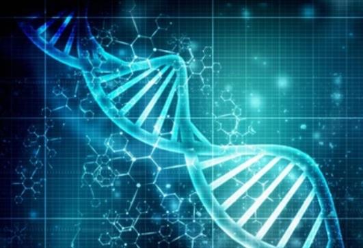 Microarray vs. RNA Sequencing