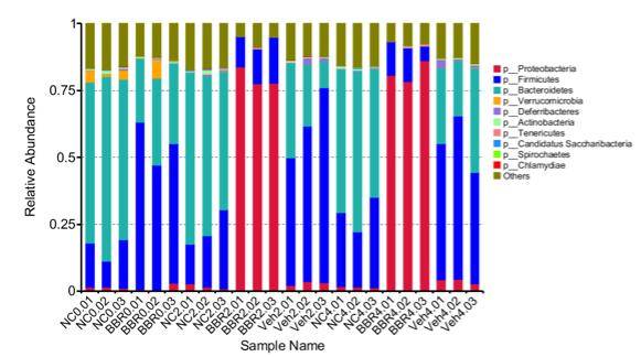 Figure 1 Relative Abundance Bar Graph