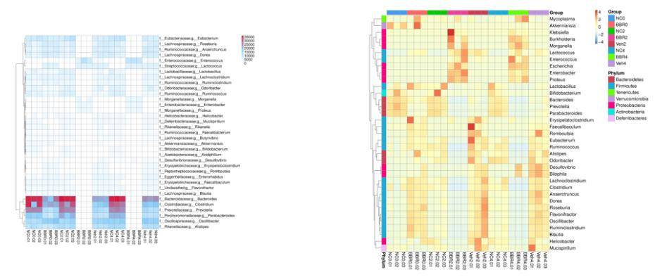 Figure 2: Heatmap of Gene Numbers and Abundance Clustering