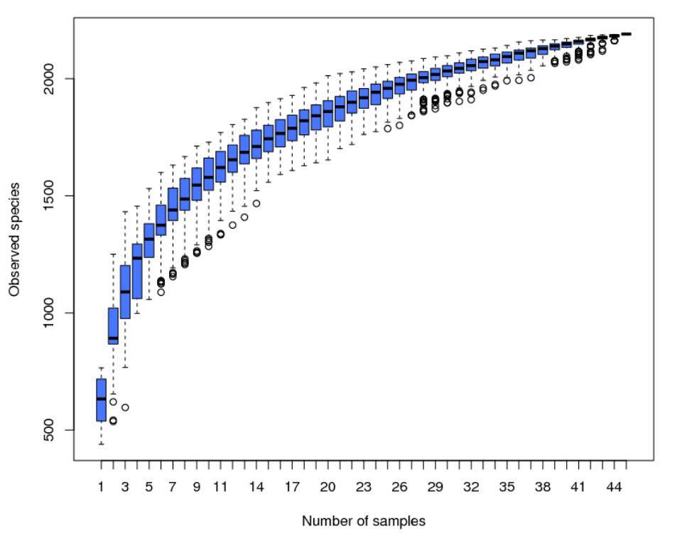 Figure 4: Species Accumulation Boxplot