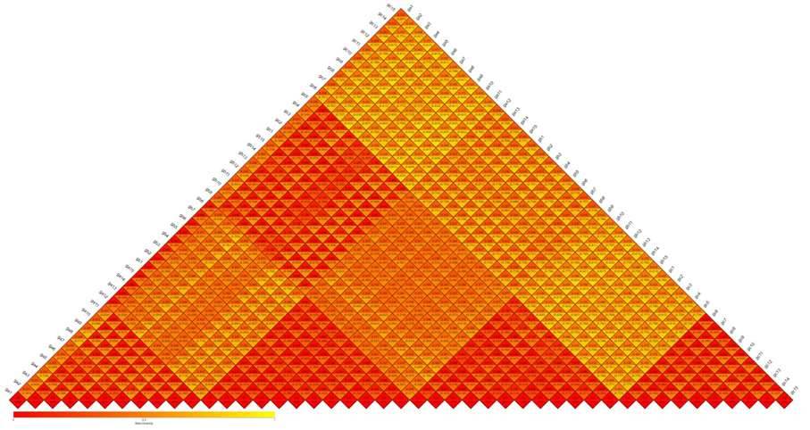 Figure 5: Heatmap of Beta Diversity Indices