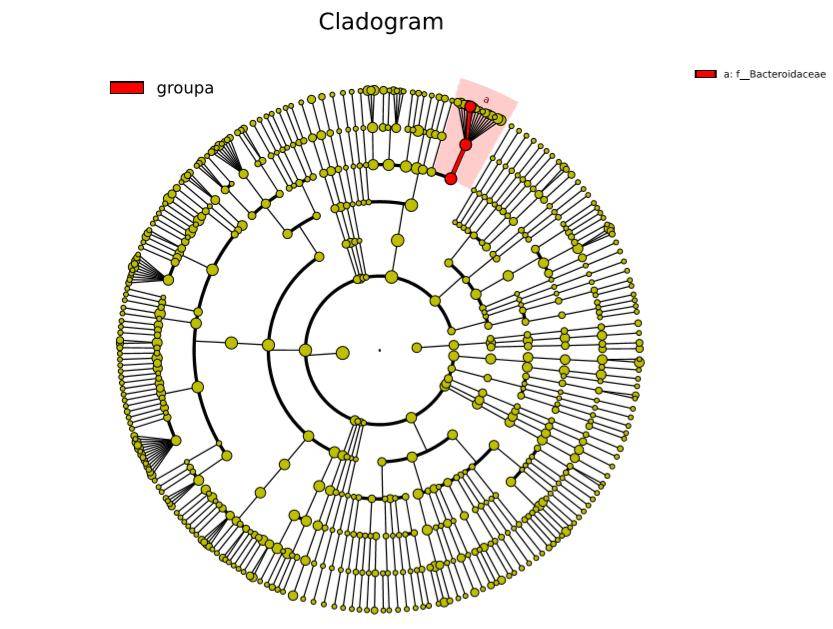 Figure 7: Phylogenetic Tree