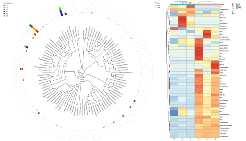 Microbial Identification