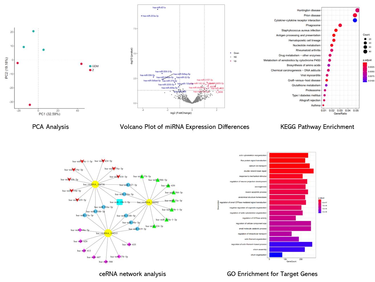 The MicroRNA Expression Profiling Microarray Results Display Figure.