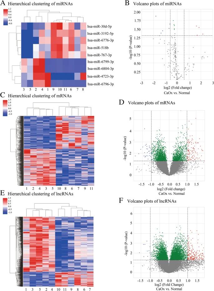 Fig 1. Hierarchical clustering and volcano plots illustrating dysregulated miRNAs, mRNAs, and lncRNAs. (Liang et al., 2019)