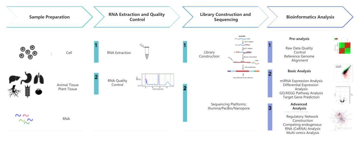 Workflow Diagram of microRNA Sequencing.