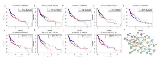 Fig. 7. Overall survival analysis of identified target genes and protein-protein interaction (PPI) network. (Wu et al., 2021)