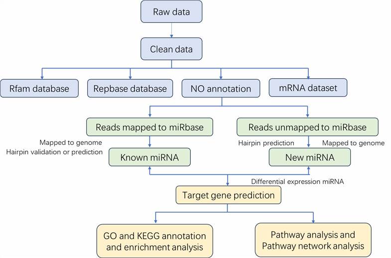 The Data Analysis Pipeline of microRNA Sequencing.