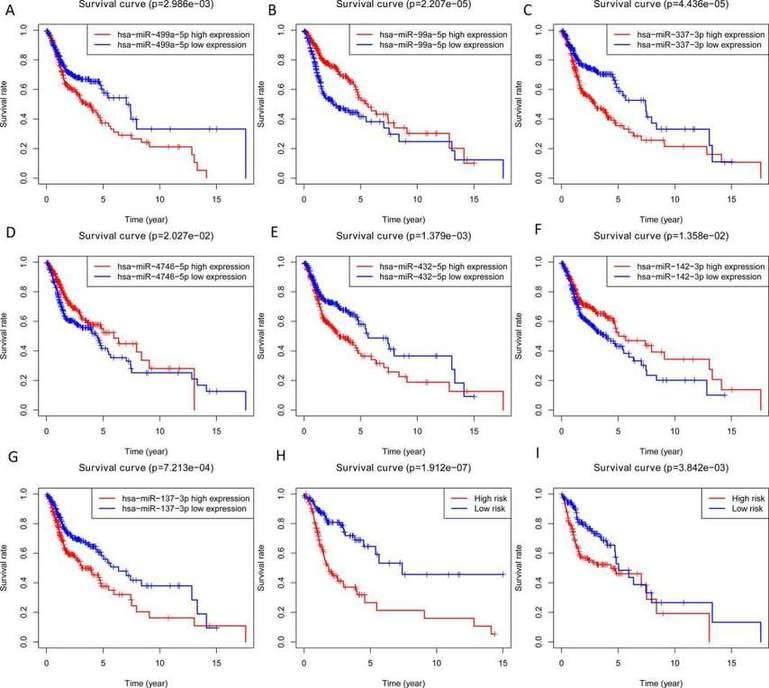 Fig. 2. Overall survival analysis of 7 miRNAs in both the training and testing sets. (Wu et al., 2021)