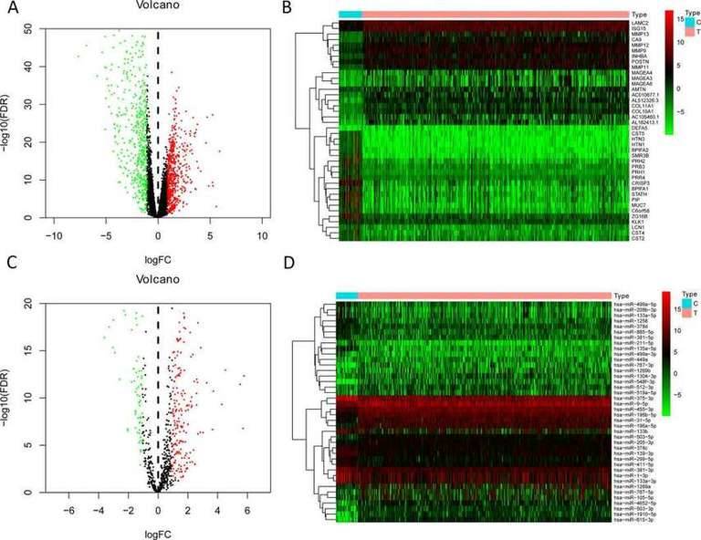 microRNA Sequencing Service