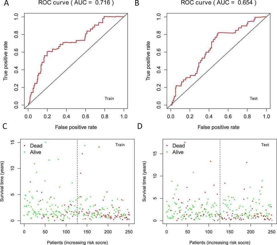 Fig. 3. ROC curve results and patient survival status plot in the training and testing sets. (Wu et al., 2021)
