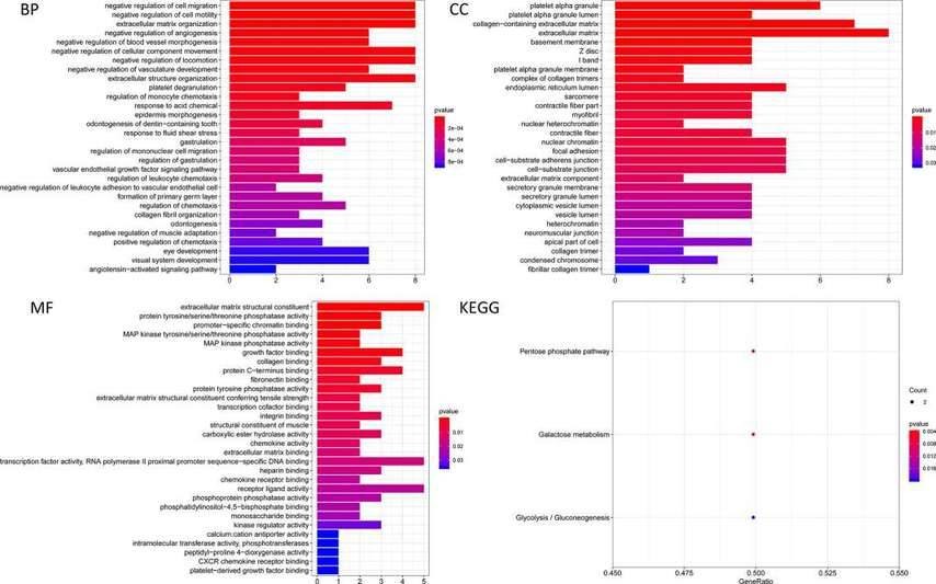 Fig. 5. Cytoscape analysis exploring potential interactions between microRNAs and target genes. (Wu et al., 2021)