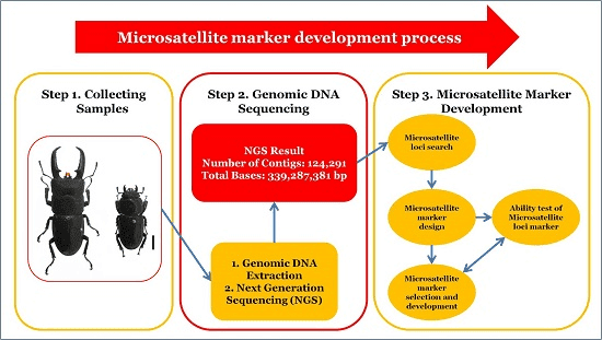 Sample Requirements