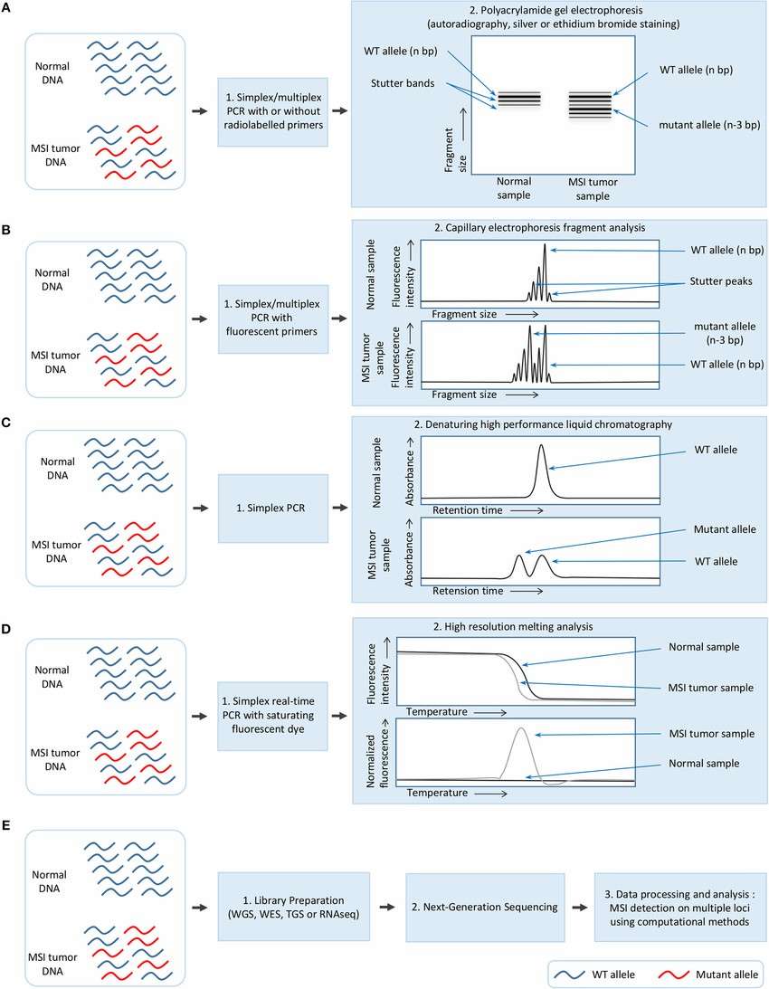 methods used for MSI detection