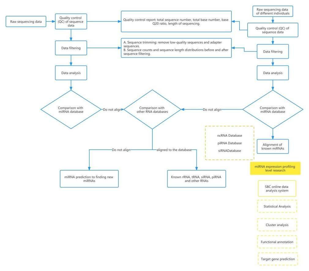 miRNA-Seq Data Analysis Workflow