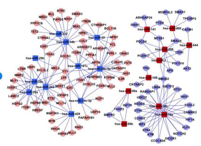 miRNA Sequencing Data Analysis Service