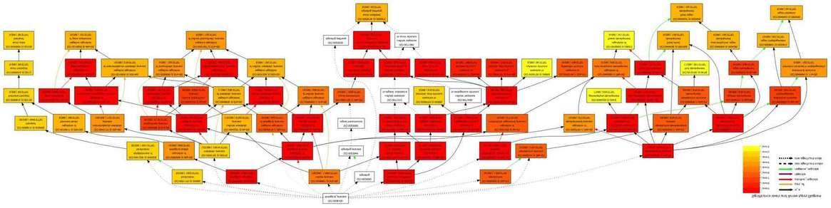 miRNA Sequencing Data Analysis Service