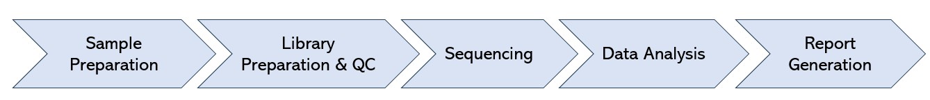 MiSeq Benchtop Sequencer workflow.