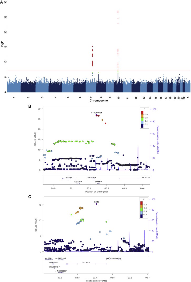 FIGURE 1. 