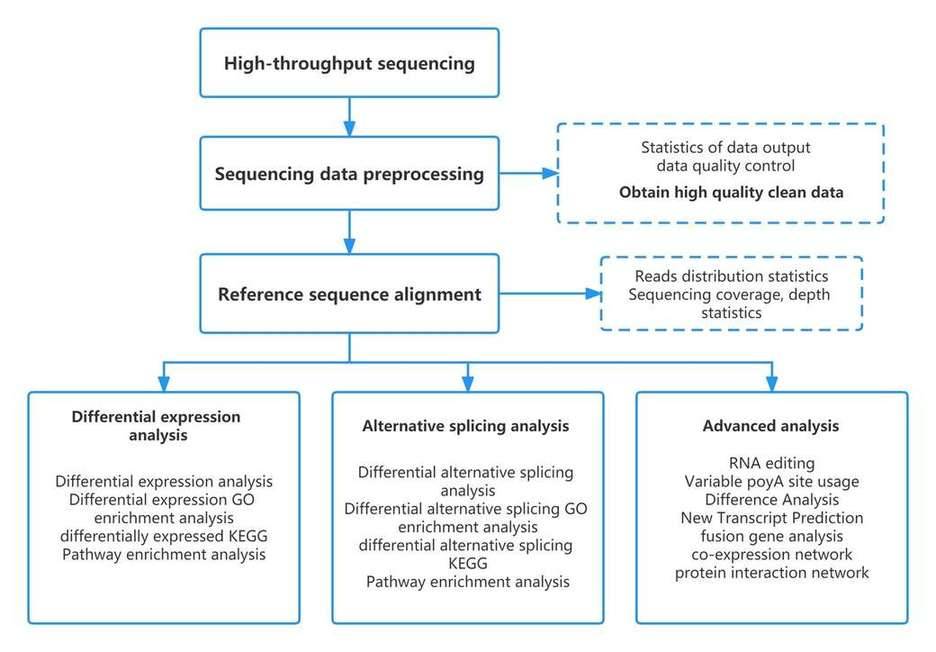 mRNA-seq Data Analysis