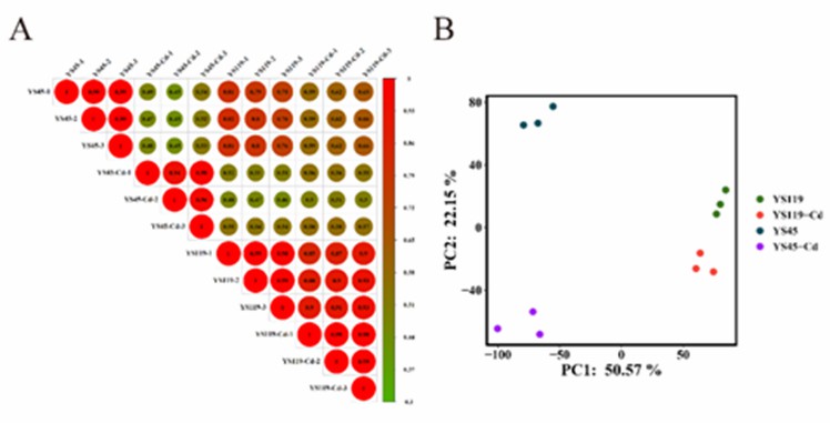Figure 1 Analysis of Pearson correlation coefficient and PCA. (Shen et al., 2022)