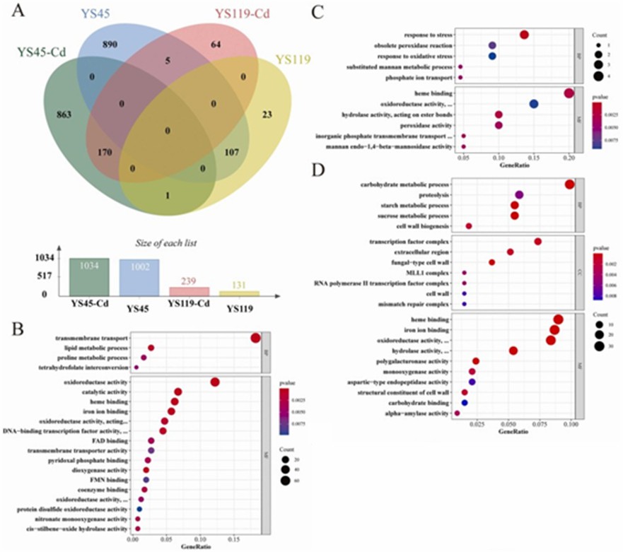 Figure 2 Analysis of DEGs. (Shen et al., 2022)