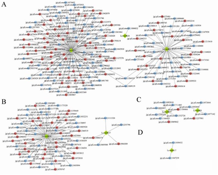 Figure 3 Integrated mRNA and miRNA analysis. (Shen et al., 2022)