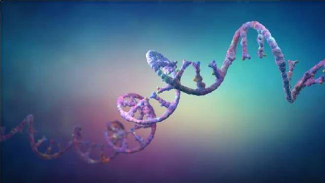 mRNA Sequencing vs Total RNA Sequencing