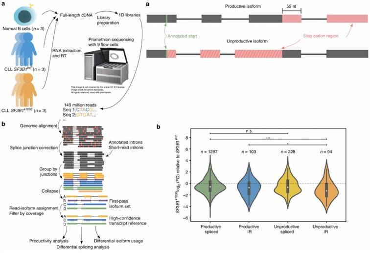 PromethION