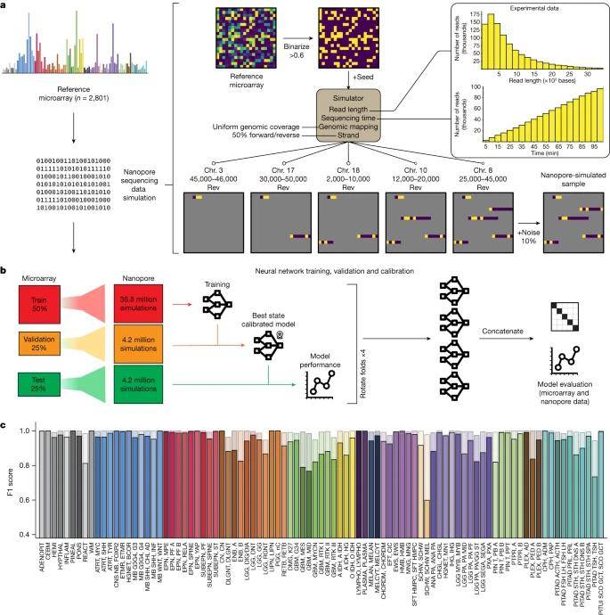 Schematic representation of the simulation, cross-validation approach and results on simulated data.