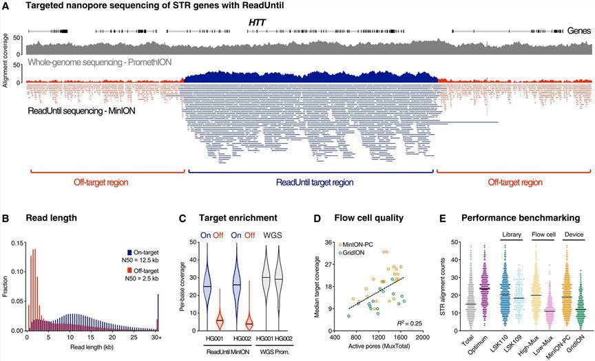 Pathogenic STR sites with ONT